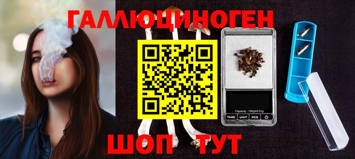 Северск  Псилоцибиновые грибы Magic Shrooms  Вход с VPN 
